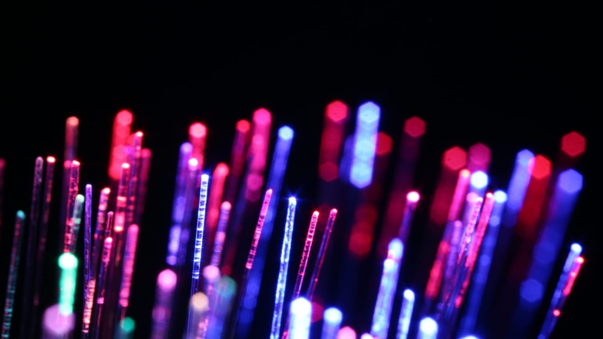 New Fiber Optic Plant in Berrechid Signals Major Boost for Morocco’s Digital Infrastructure