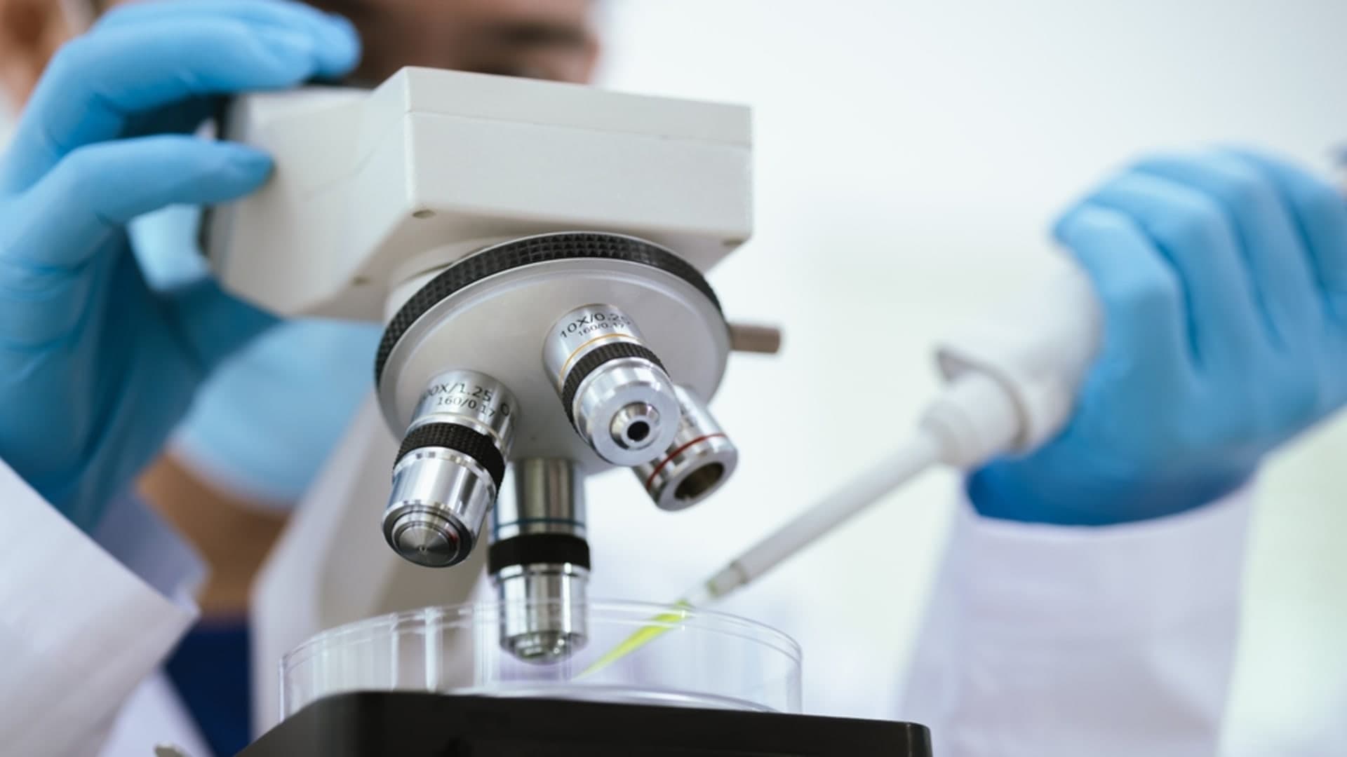 Morocco’s Fastest-Growing Industries in 2026: Healthcare & Biotechnology